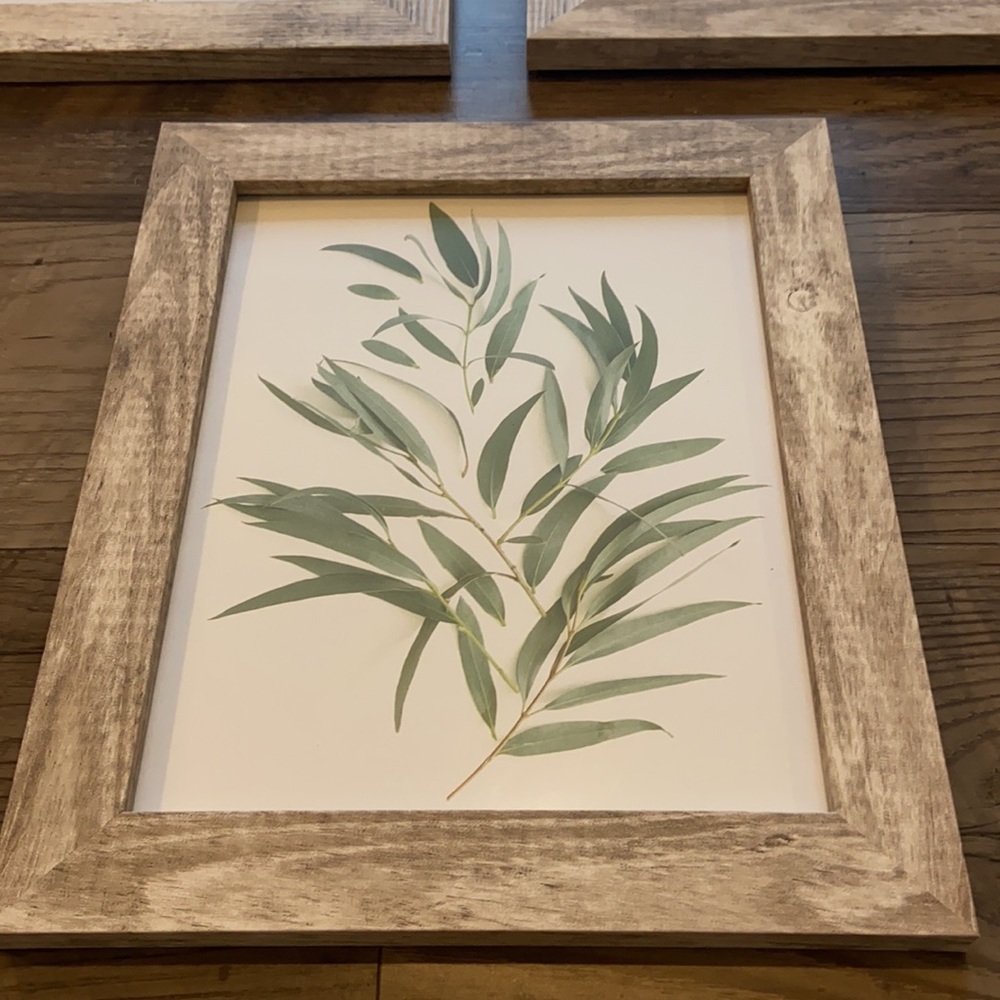 Leaf pictures in frames bundle - Picture 4 of 7